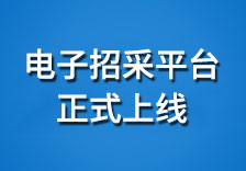 電子采購平臺(tái)正式上線